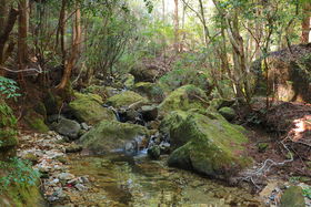 m̉v!?Vu⋬vŔ鋫̌knCLŐLTlC