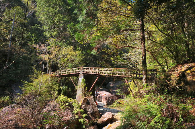 v̕iO͂ɁIu⋬v̑ۂނX