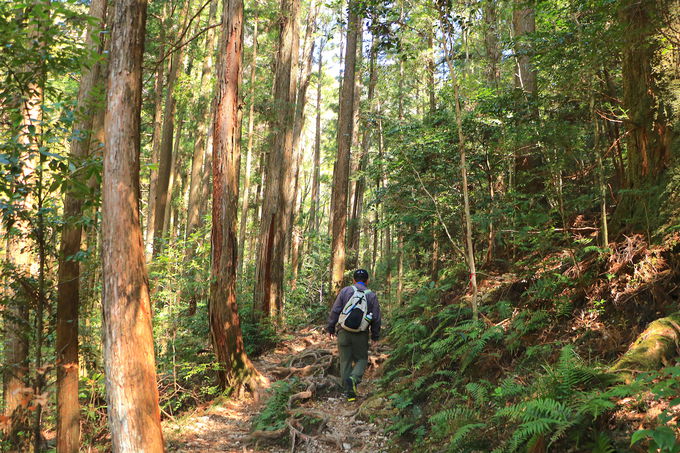 ȏꏊm!?鋫u⋬vnCLOJn