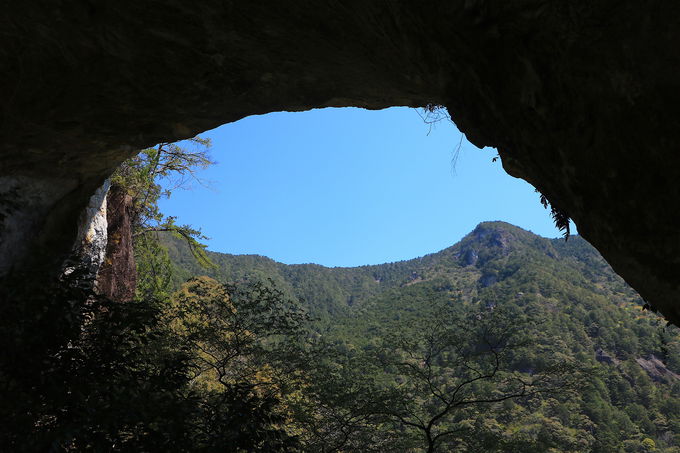 jSIuʓVEʓVvŊ厩R̐_