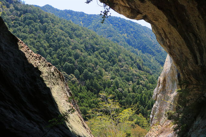 jSIuʓVEʓVvŊ厩R̐_