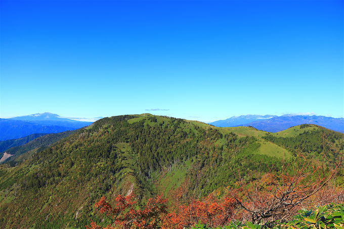 中央アルプス最南部へ 神坂峠から 恵那山 パノラマ縦走登山 岐阜県 Lineトラベルjp 旅行ガイド