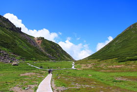 ��y�Ȃ����i�s�����I�o�R����ɍœK�Ȋ򕌂̖��R�T�I�̋L���T���l�C��