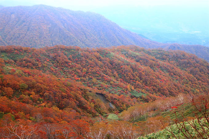 白山信仰の軌跡を辿る「銚子ヶ峰」錦絵の紅葉に息を呑む
