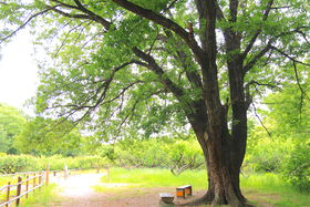 É̒SCyɃANZXIRΒnuIAVX̐Xv̖͂̋LTlC