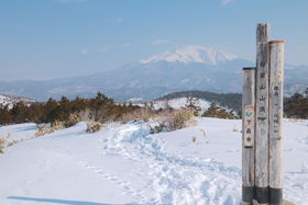 ŐƌԎR̓W]I򕌁uRv֑unCLŐLTlC