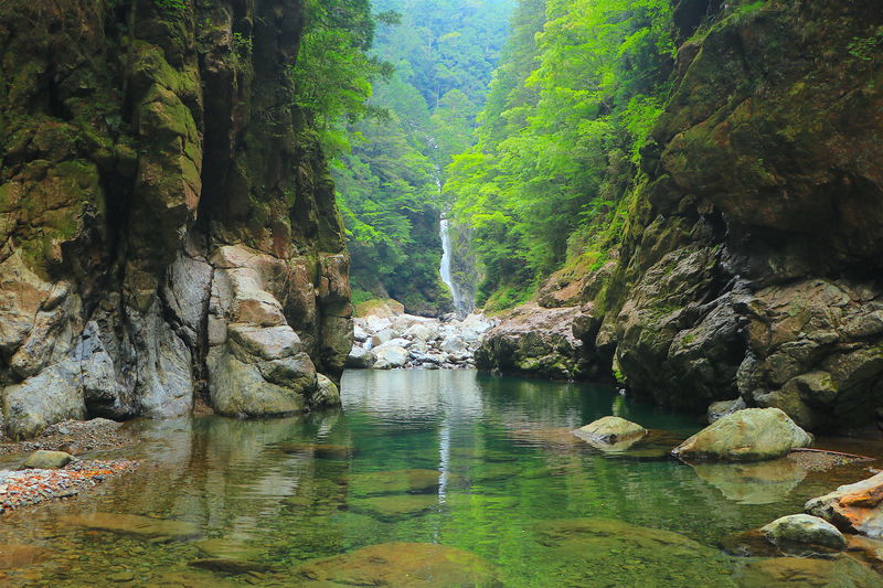 三重にある日本三大峡谷「大杉谷」日本屈指の秘境登山道へ挑め！