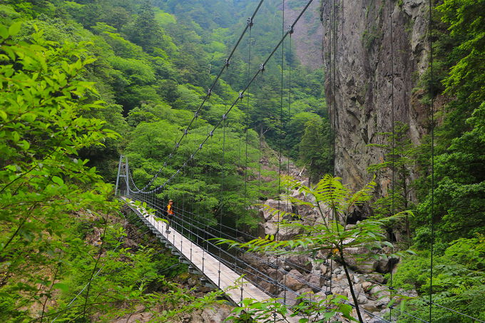 吙J𖞋iIRh12Łuv܂