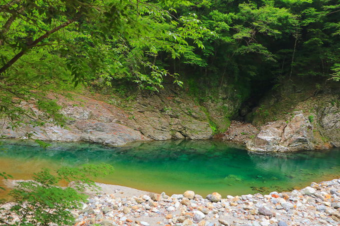 yɔ鋫̎y߂IǒJ܂ł̓AgbLO