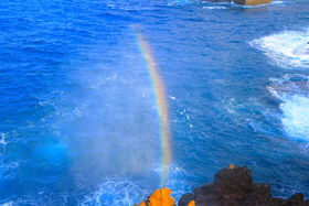 Ru{̒v͌T_Ђւ_̃p[X|bg̋LTlC