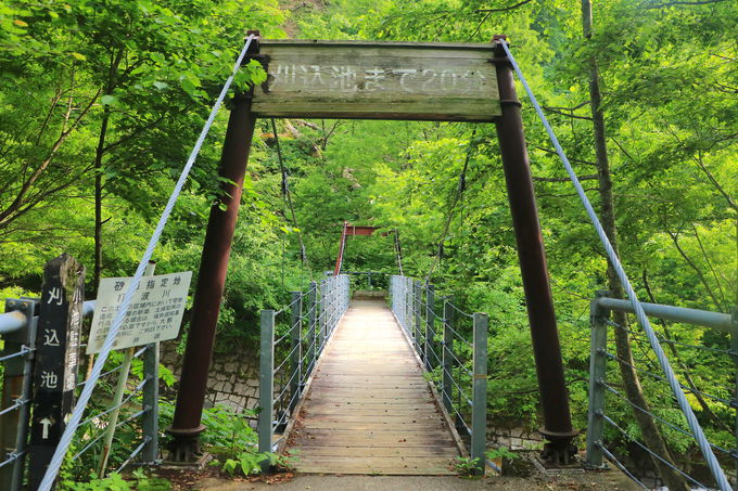 Ԃ߂Ŕg쉈̔鋫nCLOցI