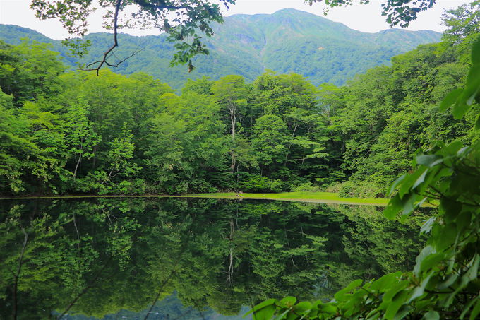 Ήf荞ސ_̐iIRnグurv