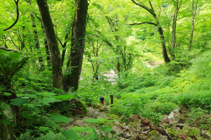 Ήf荞ސ_̐iIRnグurv