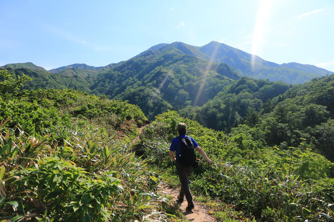 ̐EɐGꂽȂIuOmvoRIXX