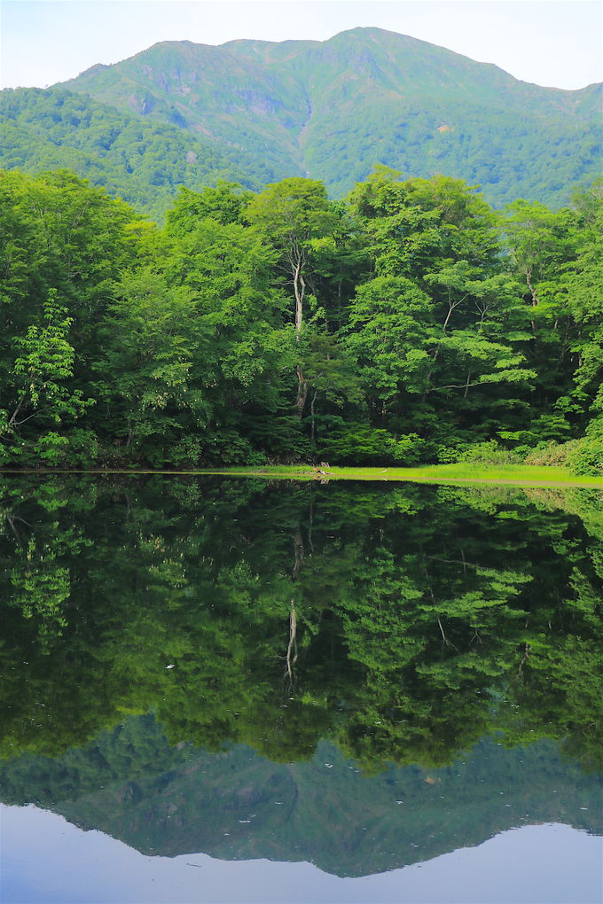 Ήf荞ސ_̐iIRnグurv