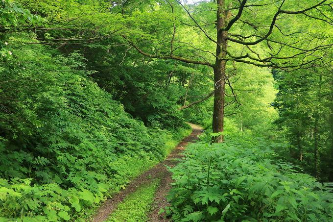 Ԃ߂Ŕg쉈̔鋫nCLOցI