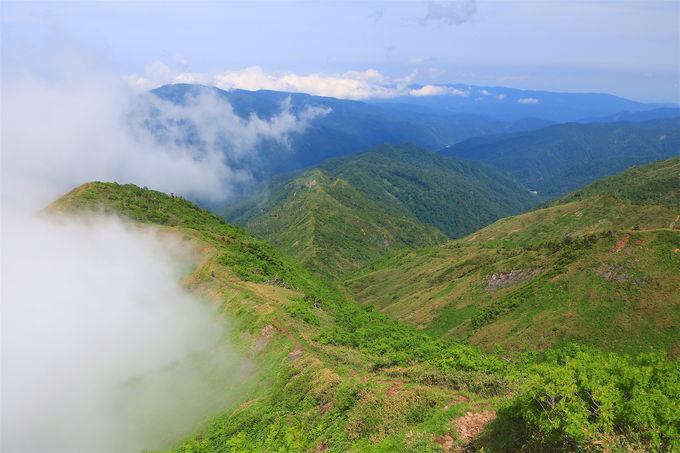 ̐EɐGꂽȂIuOmvoRIXX