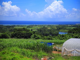 沖縄の原風景が残る！久米島「山里地区」周辺の楽しみ方