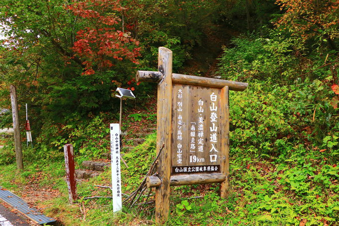 ΓOoRSuỉL
