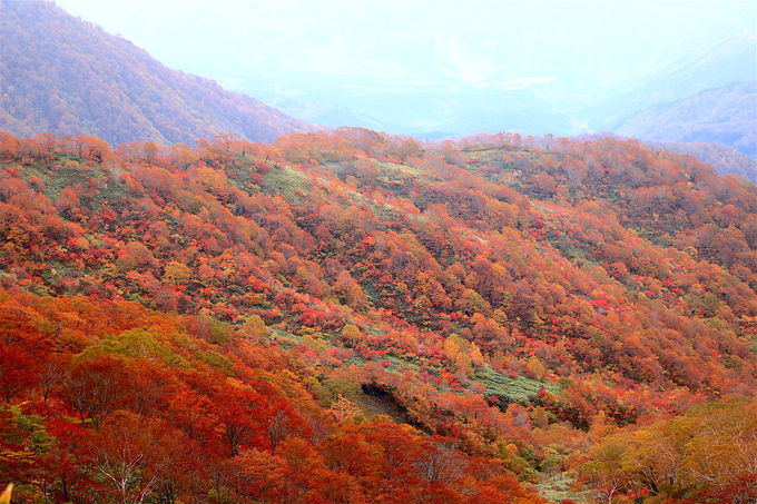 知られざる絶景紅葉の山！岐阜「銚子ヶ峰」ハイキング