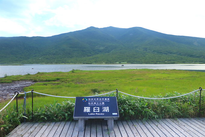 �R���Ɉ��|�I�Ȕ�΁I�m���ʊx��w�i�ɘȂށu���P�΁v