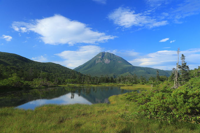 �m��������o�X�ŃA�N�Z�X�I�����m���̖��m�Ȏ��R��