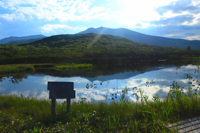 �m���܌΂�������Ȃ��I������̌܌΁u���P�΁v��