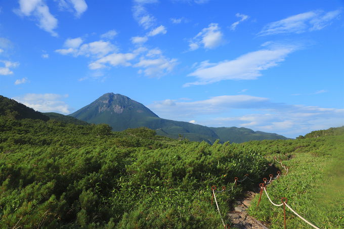 �L����厩�R�I��m�������o���u�J���C�~���^���v�����