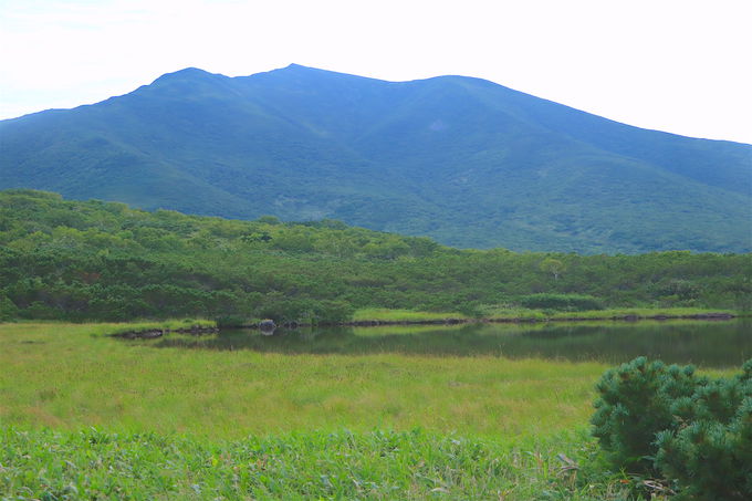 �R���Ɉ��|�I�Ȕ�΁I�m���ʊx��w�i�ɘȂށu���P�΁v