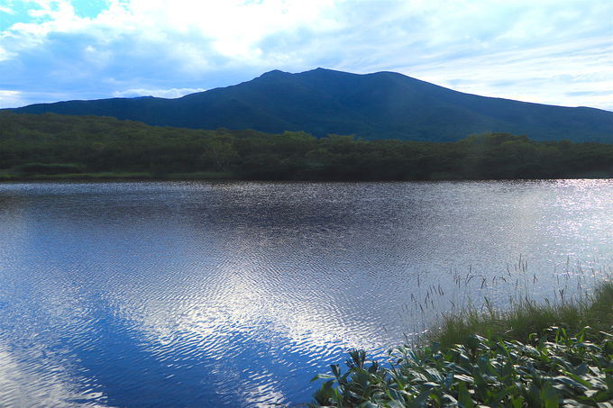 ���Ă�"���̌�"�ƌĂ΂ꂽ�H�m���ő�̌΁u���P�΁v