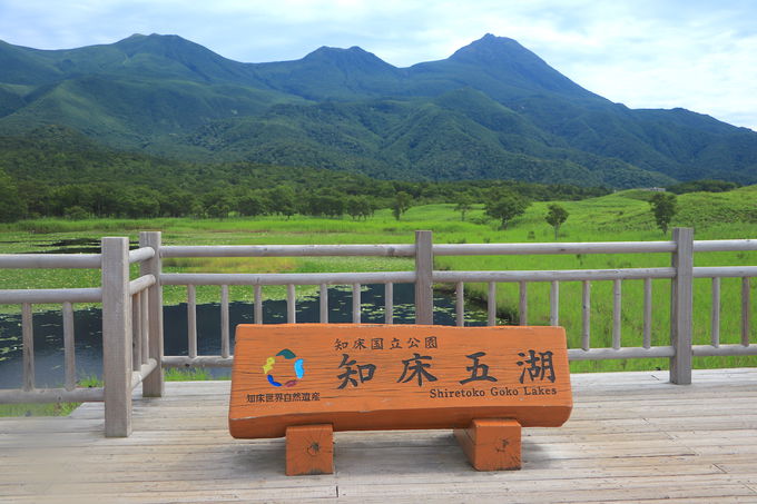 世界遺産 知床の絶景道 知床横断道路 見所を徹底解説 北海道 Lineトラベルjp 旅行ガイド