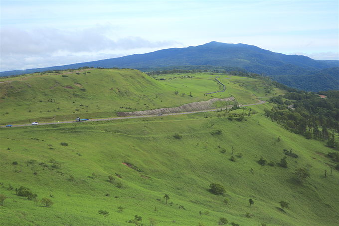 㔼̌iFωh}`bNIw̖uyv