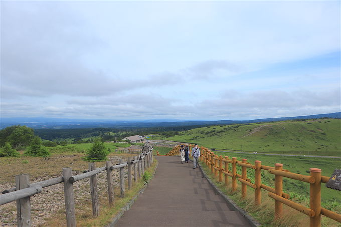 yޕ̎Ηx܂ŁIuyṽpm}I