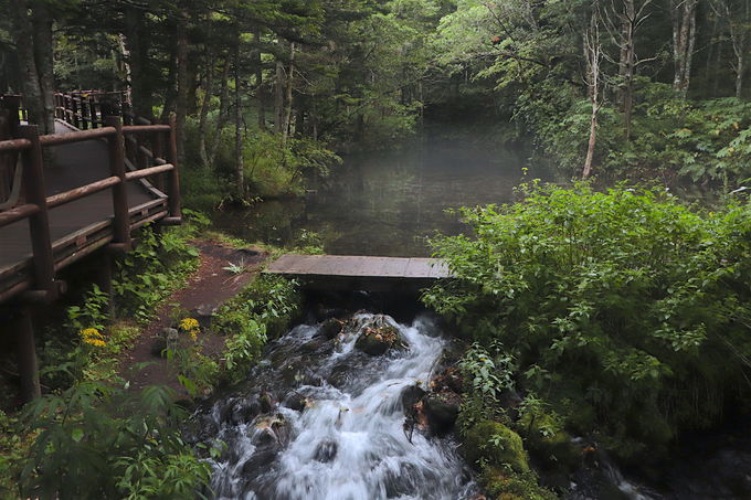 It[h̐ɁI~XeAXɘȂށu_̎qrv