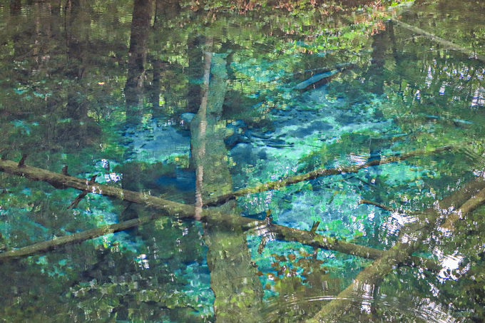 北海道 摩周湖が誇る神秘の絶景 神の子池 に見る宇宙 北海道 トラベルjp 旅行ガイド
