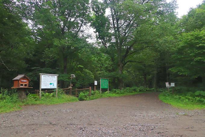 It[h̐ɁI~XeAXɘȂށu_̎qrv