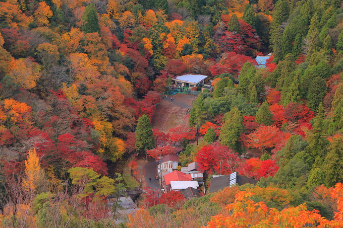 名古屋を一望！紅葉のパノラマが美しい「岩巣山展望台」