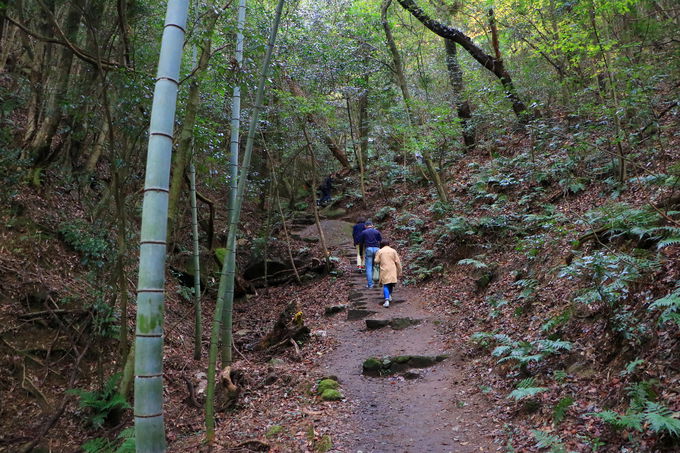 名古屋を一望！紅葉のパノラマが美しい「岩巣山展望台」