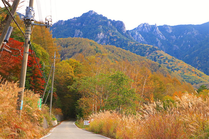 みずがき山自然公園も 山梨 瑞牆山 周辺は絶景紅葉の宝庫 山梨県 Lineトラベルjp 旅行ガイド