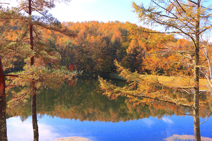 錦秋の風情香る 長野県 御射鹿池 周辺で絶景紅葉ハイキング 長野県 トラベルjp 旅行ガイド