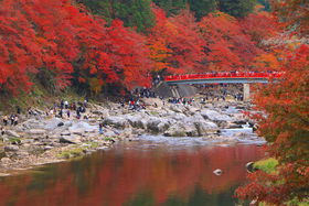 mEO͂̍gtukvGłi𖞋iU@̋LTlC