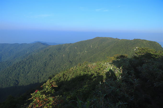 �������炪�{�ԁI�u���q�x�v�܂ŗΔ������c���H��i����