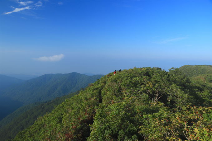 �������炪�{�ԁI�u���q�x�v�܂ŗΔ������c���H��i����