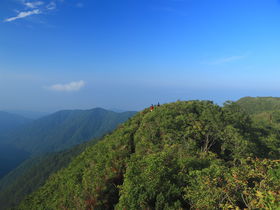 サクッと美しい緑の稜線へ！滋賀県「金糞岳」へ爽快ハイキング