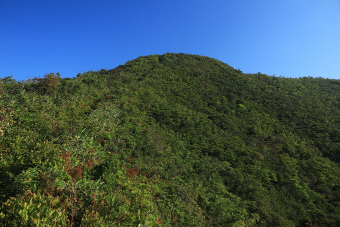 �����]�͂�����΁I�����o�����܂ŕ����Ă݂悤