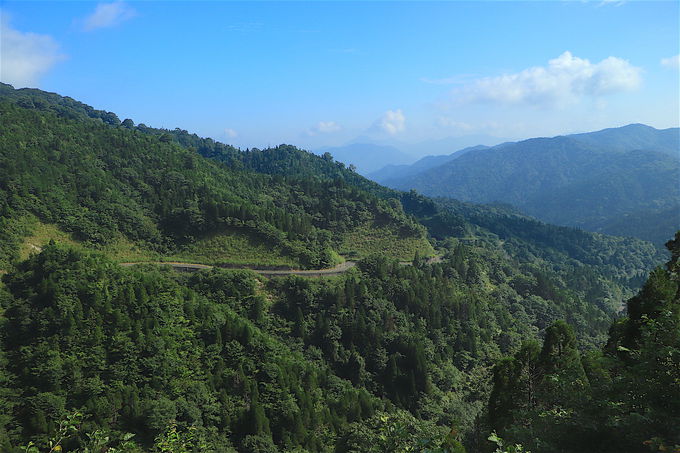 �Γ��ɘȂވɐ��R�n�I����������ǎR�[���͗L��