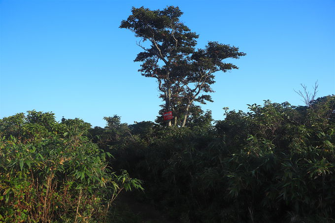 ��y�ɃE�H�[�~���O�A�b�v�I��30���Łu�����x�v��