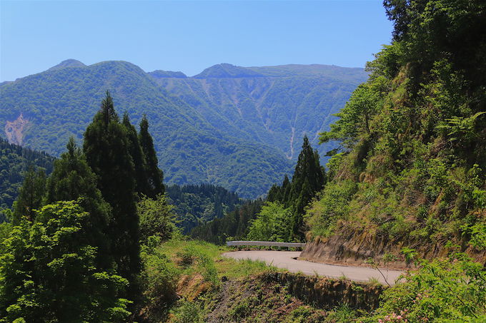 サクッと美しい緑の稜線へ 滋賀県 金糞岳 へ爽快ハイキング 滋賀県 トラベルjp 旅行ガイド