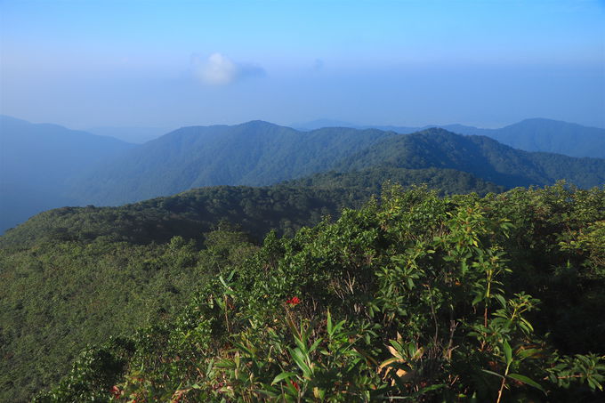 �����]�͂�����΁I�����o�����܂ŕ����Ă݂悤