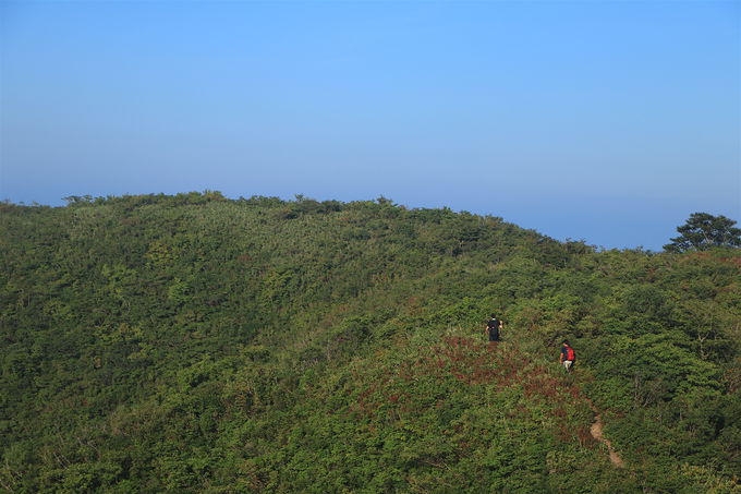 �������炪�{�ԁI�u���q�x�v�܂ŗΔ������c���H��i����